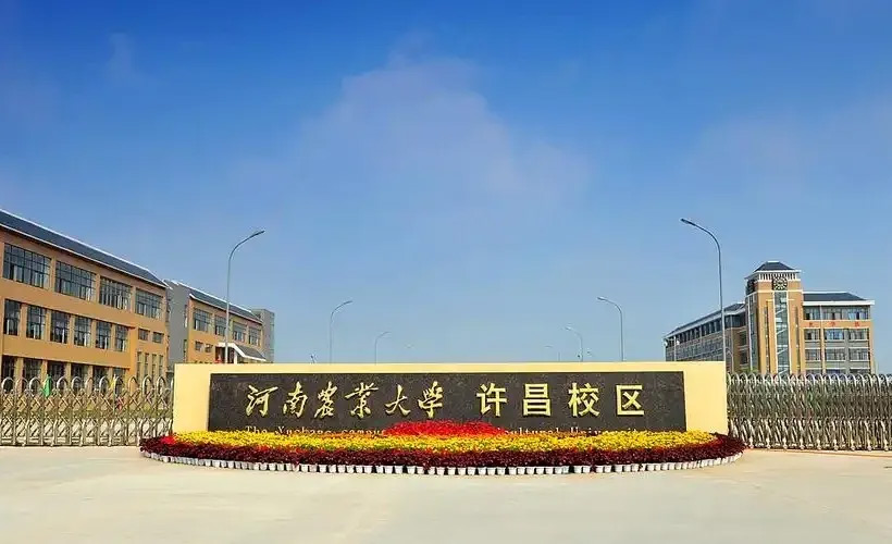 1745921733526502.jpg a9fb7331.png